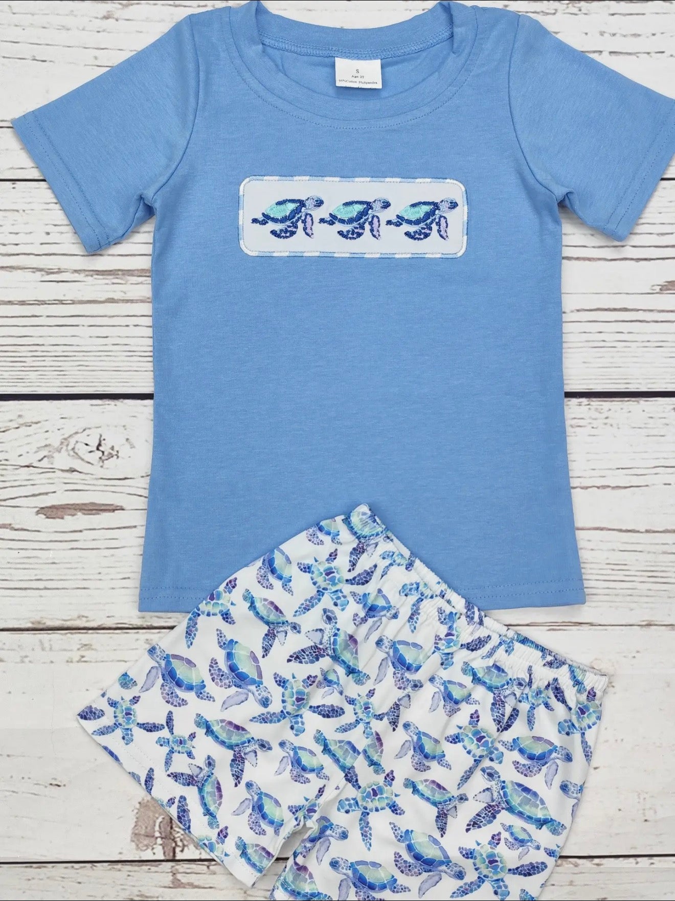 Boys turtle set